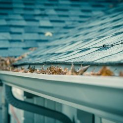 Photo Gutter Cleaning