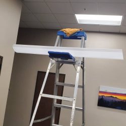 Photo Light Maintenance Repairs